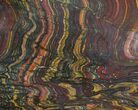 Polished Tiger Iron Stromatolite - ( Billion Years) #92953-1